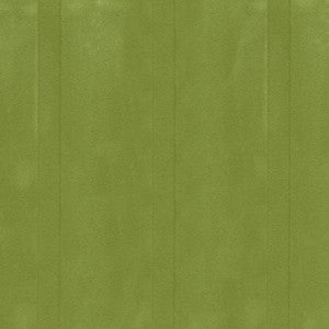 Bungalow Apple by Kasmir Fabric