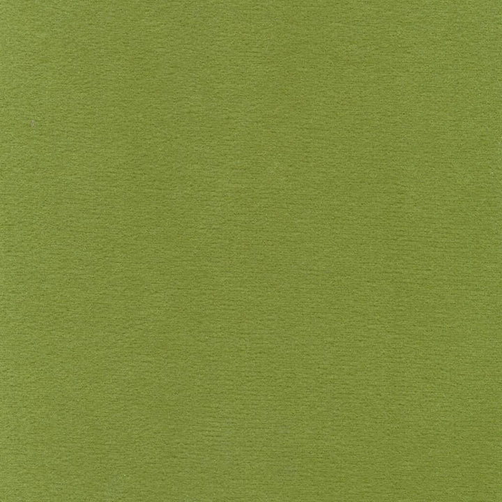 Bungalow Velvet Apple by Kasmir Fabric 1411 100% Polyester KOREA 30,000 Wyzenbeek Double Rubs H: N/A, V:N/A 56 - 58 - Fabric Carolina - Kasmir