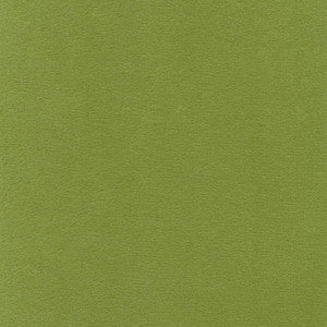 Bungalow Velvet Apple by Kasmir Fabric