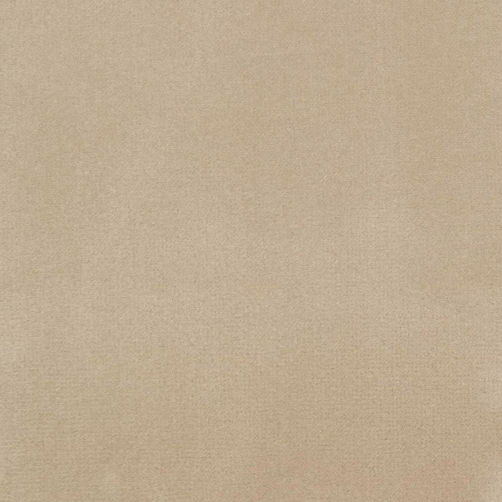 Bungalow Velvet Ecru by Kasmir Fabric 1411 100% Polyester
 KOREA </p><p>Repeat: Horizontal: N/A and Vertical: N/A 56 - 58 - Fabric Carolina -