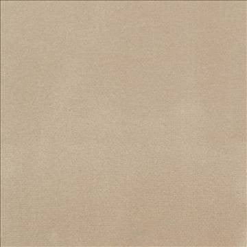 Bungalow Velvet Ecru by Kasmir Fabric 1411 100% Polyester KOREA 30,000 Wyzenbeek Double Rubs H: N/A, V: N/A 56 - 58 - Fabric Carolina - Kasmir