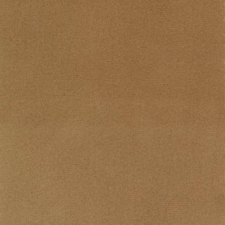 Bungalow Velvet Hazelnut by Kasmir Fabric 1411 100% Polyester KOREA 30,000 Wyzenbeek Double Rubs H: N/A, V:N/A 56 - 58 - Fabric Carolina - Kasmir