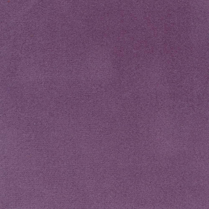 Bungalow Velvet Lavender by Kasmir Fabric 1411 100% Polyester KOREA 30,000 Wyzenbeek Double Rubs H: N/A, V:N/A 56 - 58 - Fabric Carolina - Kasmir