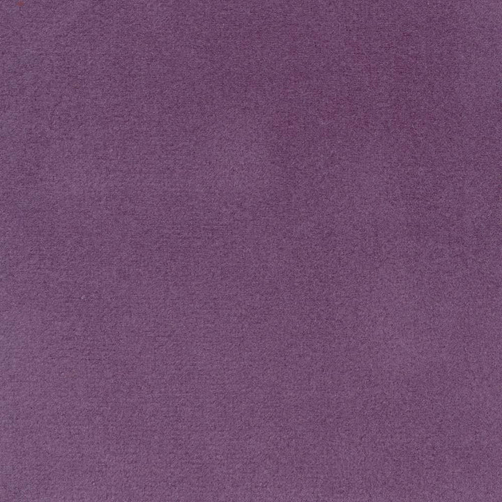 Bungalow Velvet Lavender by Kasmir Fabric 1411 100% Polyester KOREA 30,000 Wyzenbeek Double Rubs Horizontal: 0 Inches and Vertical: 0 Inches 56 - 58 - Fabric Carolina -