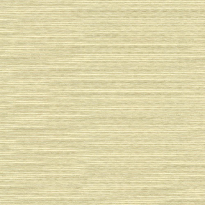 Burke Angora by Kasmir Fabric 5163 100% Polyester
 INDIA </p><p>Repeat: Horizontal: N/A and Vertical: N/A 54 - Fabric Carolina -