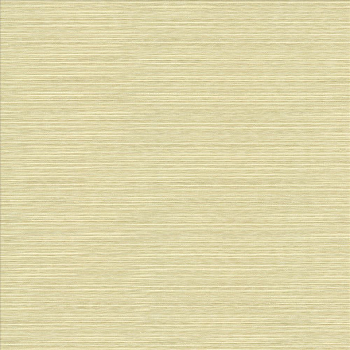 Burke Angora by Kasmir Fabric 5163 100% Polyester
 INDIA Not Tested </p><p>Repeat: Horizontal: N/A and Vertical: N/A 54 - Fabric Carolina -