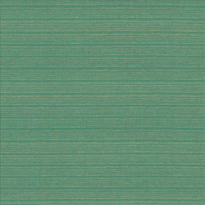 Burke Aquatic by Kasmir Fabric