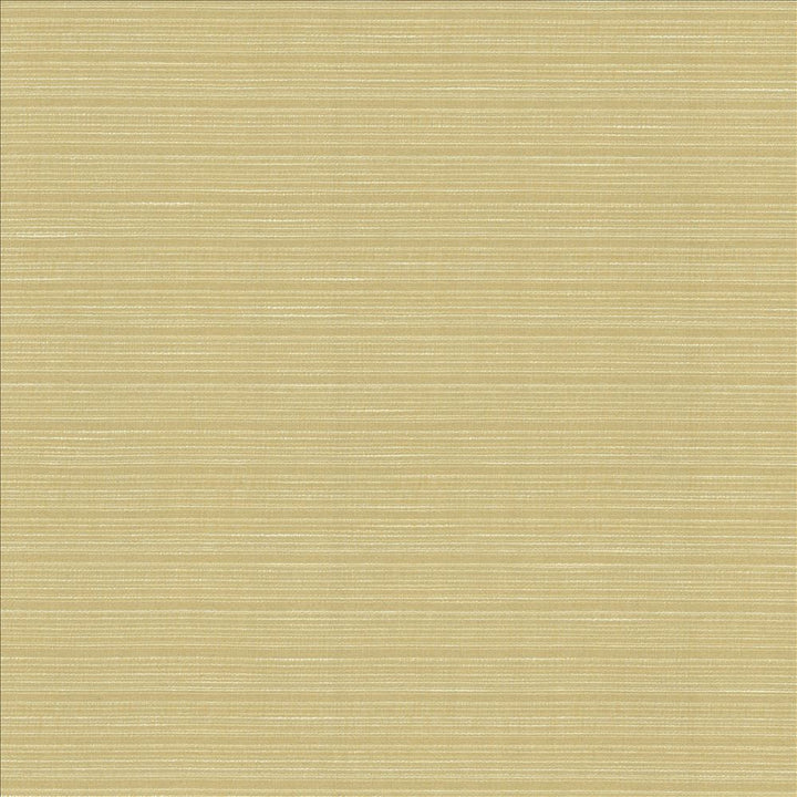 Burke Beeswax by Kasmir Fabric 5163 100% Polyester
 INDIA Not Tested </p><p>Repeat: Horizontal: N/A and Vertical: N/A 54 - Fabric Carolina -