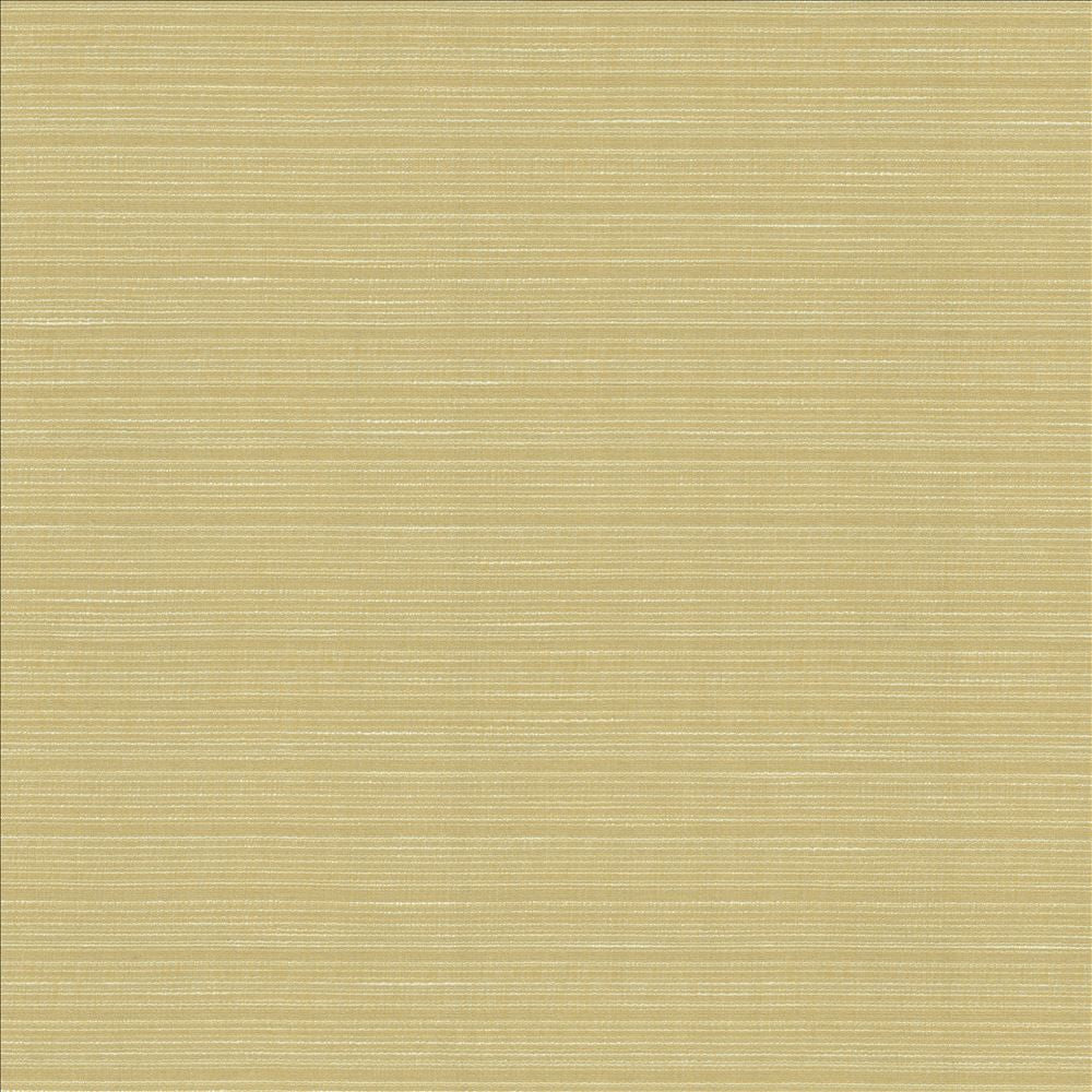 Burke Beeswax  by Kasmir Fabric See sample 100% Polyester
 INDIA Not Tested </p><p>Repeat: Horizontal: N/A and Vertical: N/A 54  - Fabric Carolina -