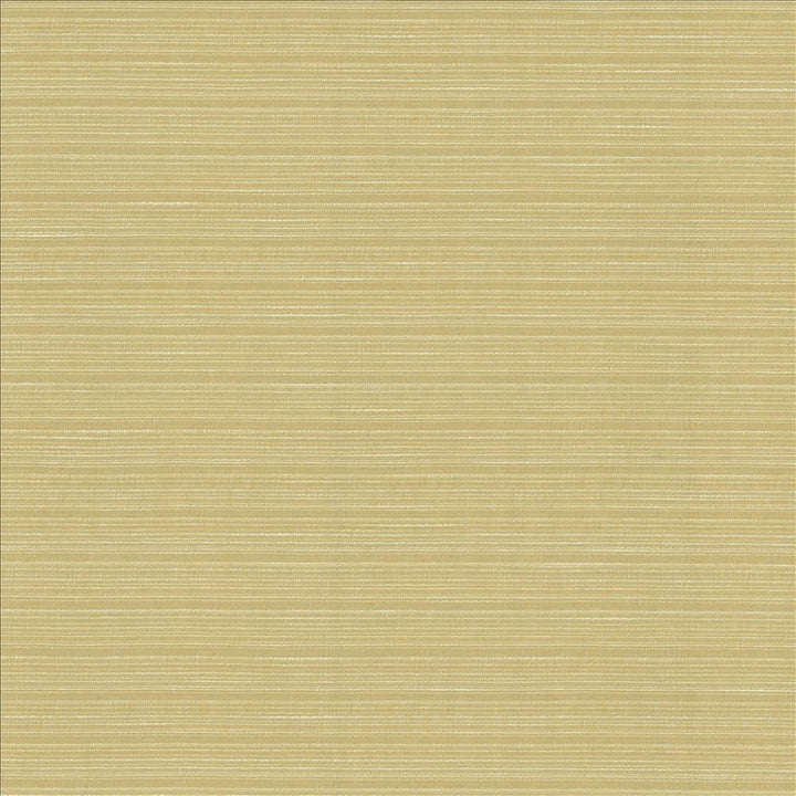 Burke Beeswax by Kasmir Fabric 5163 100% Polyester
 INDIA </p><p>Repeat: Horizontal: N/A and Vertical: N/A 54 - Fabric Carolina -