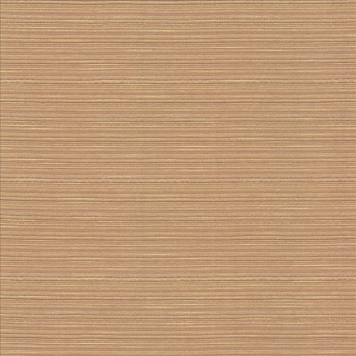 Burke Blush by Kasmir Fabric 5163 100% Polyester
 INDIA Not Tested Horizontal: N/A and Vertical: N/A 54 - Fabric Carolina -