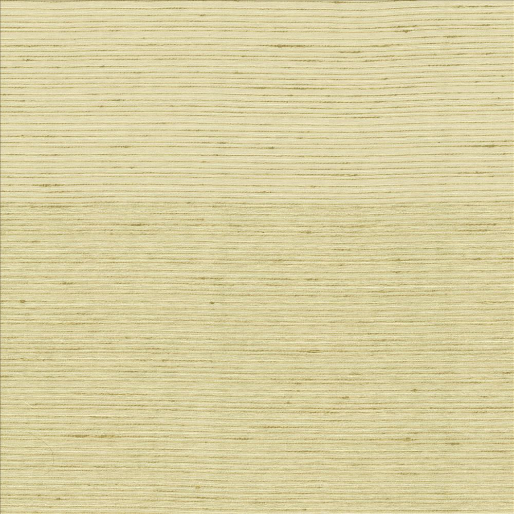 Burke Cotton by Kasmir Fabric 5163 100% Polyester
 INDIA Not Tested </p><p>Repeat: Horizontal: N/A and Vertical: N/A 54 - Fabric Carolina -