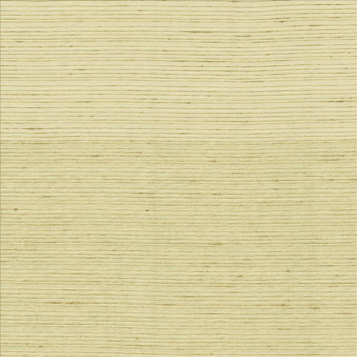 Burke Cotton by Kasmir Fabric 5163 100% Polyester
 INDIA Not Tested </p><p>Repeat: Horizontal: N/A and Vertical: N/A 54 - Fabric Carolina -