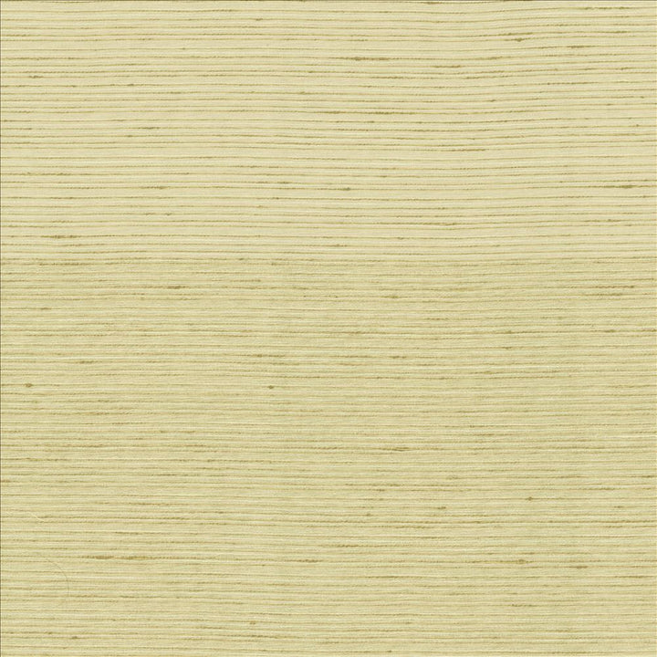 Burke Cotton by Kasmir Fabric 5163 100% Polyester
 INDIA Not Tested Horizontal: N/A and Vertical: N/A 54 - Fabric Carolina -