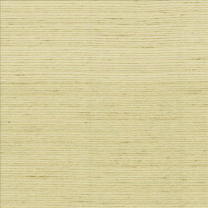 Burke Cotton by Kasmir Fabric