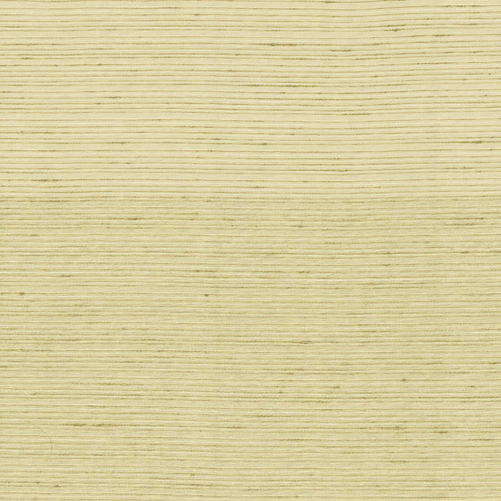 Burke Cotton by Kasmir Fabric 5163 100% Polyester
 INDIA </p><p>Repeat: Horizontal: N/A and Vertical: N/A 54 - Fabric Carolina -