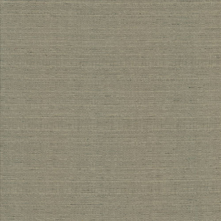 Burke Fog by Kasmir Fabric 5163 100% Polyester
 INDIA Not Tested Horizontal: N/A and Vertical: N/A 54 - Fabric Carolina -