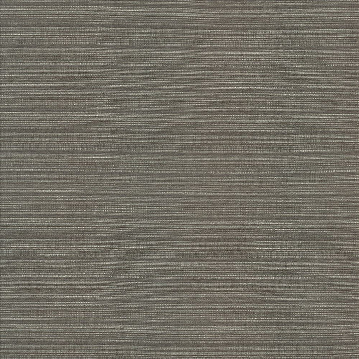 Burke Graphite by Kasmir Fabric 5163 100% Polyester
 INDIA </p><p>Repeat: Horizontal: N/A and Vertical: N/A 54 - Fabric Carolina -