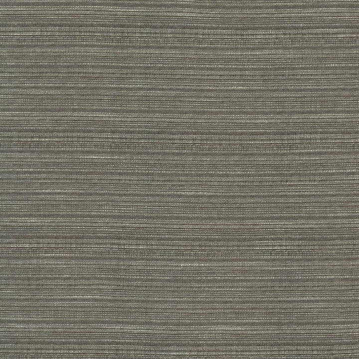 Burke Graphite by Kasmir Fabric 5163 100% Polyester
 INDIA </p><p>Repeat: Horizontal: N/A and Vertical: N/A 54 - Fabric Carolina -