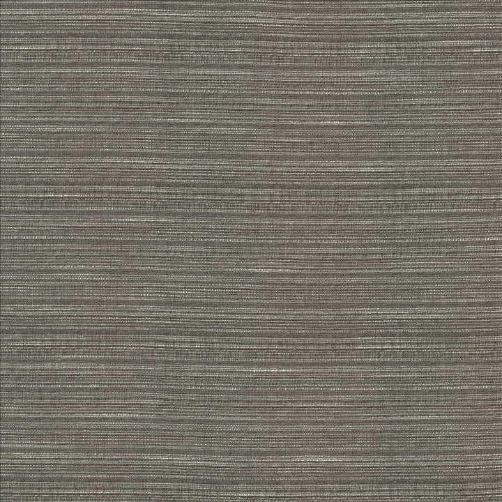 Burke Graphite by Kasmir Fabric 5163 100% Polyester
 INDIA Not Tested </p><p>Repeat: Horizontal: N/A and Vertical: N/A 54 - Fabric Carolina -