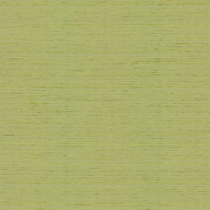 Burke Lemongrass by Kasmir Fabric 5163 100% Polyester
 INDIA </p><p>Repeat: Horizontal: N/A and Vertical: N/A 54 - Fabric Carolina -