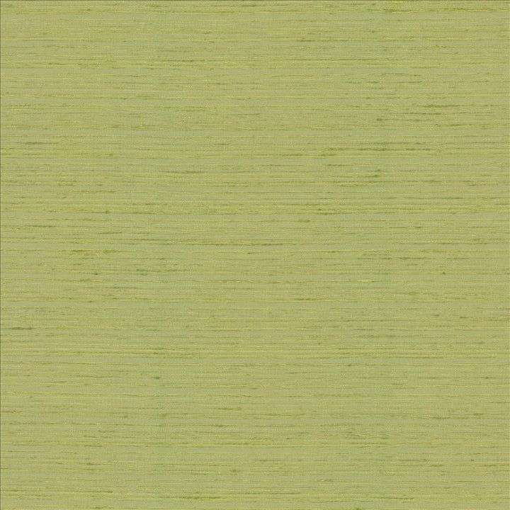 Burke Lemongrass by Kasmir Fabric 5163 100% Polyester
 INDIA Not Tested </p><p>Repeat: Horizontal: N/A and Vertical: N/A 54 - Fabric Carolina -