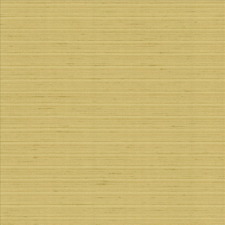 Burke Manila by Kasmir Fabric 5163 100% Polyester
 INDIA </p><p>Repeat: Horizontal: N/A and Vertical: N/A 54 - Fabric Carolina -