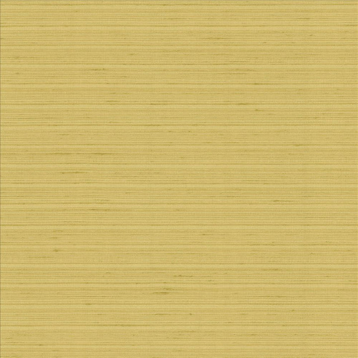 Burke Manila by Kasmir Fabric 5163 100% Polyester
 INDIA Not Tested </p><p>Repeat: Horizontal: N/A and Vertical: N/A 54 - Fabric Carolina -