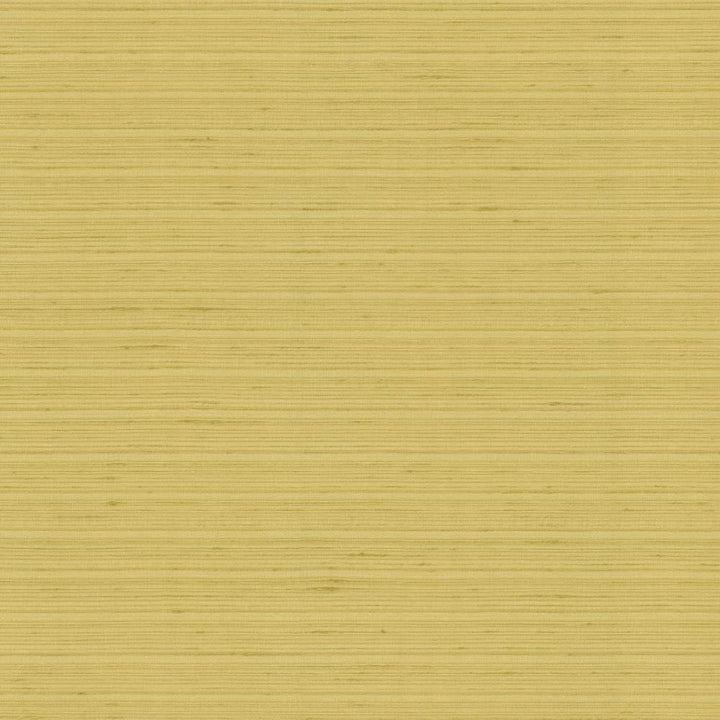 Burke Manila by Kasmir Fabric 5163 100% Polyester
 INDIA </p><p>Repeat: Horizontal: N/A and Vertical: N/A 54 - Fabric Carolina -