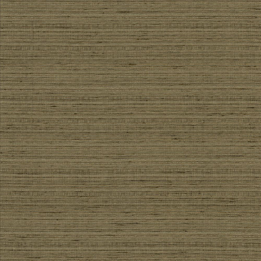Burke Mineral by Kasmir Fabric 5163 100% Polyester
 INDIA Not Tested </p><p>Repeat: Horizontal: N/A and Vertical: N/A 54 - Fabric Carolina -