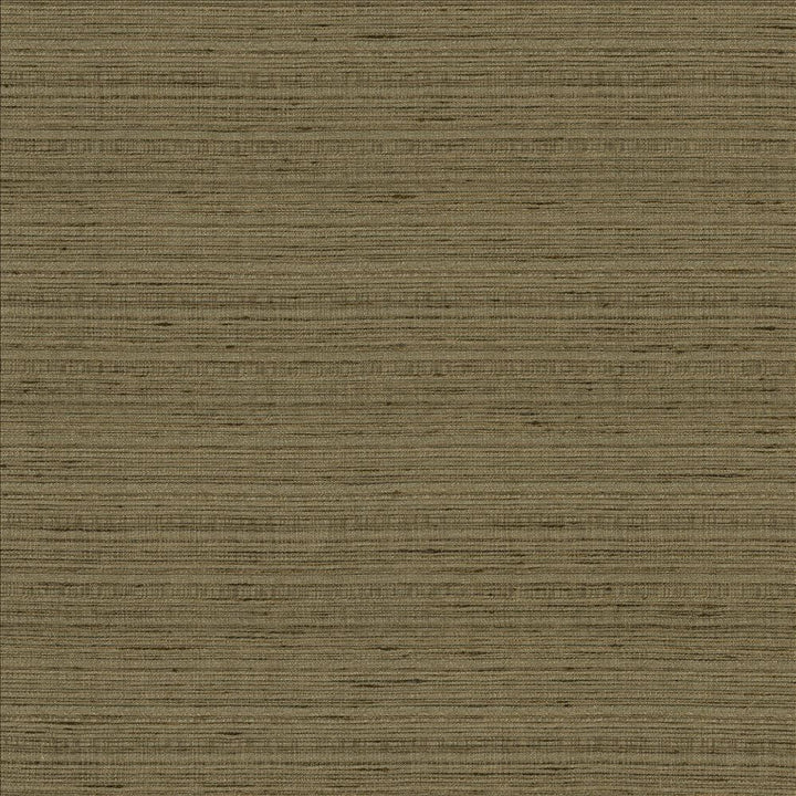 Burke Mineral by Kasmir Fabric 5163 100% Polyester
 INDIA Not Tested </p><p>Repeat: Horizontal: N/A and Vertical: N/A 54 - Fabric Carolina -