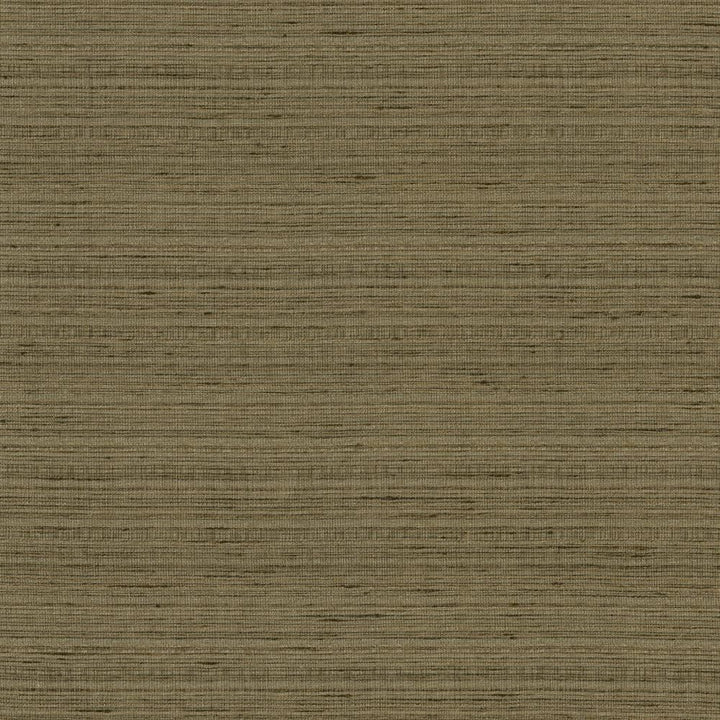 Burke Mineral by Kasmir Fabric 5163 100% Polyester
 INDIA </p><p>Repeat: Horizontal: N/A and Vertical: N/A 54 - Fabric Carolina -