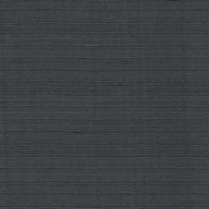 Burke Obsidian by Kasmir Fabric 5163 100% Polyester
 INDIA </p><p>Repeat: Horizontal: N/A and Vertical: N/A 54 - Fabric Carolina -