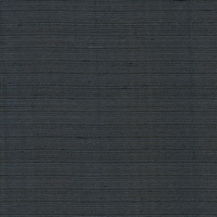 Burke Obsidian by Kasmir Fabric 5163 100% Polyester
 INDIA Not Tested Horizontal: N/A and Vertical: N/A 54 - Fabric Carolina -