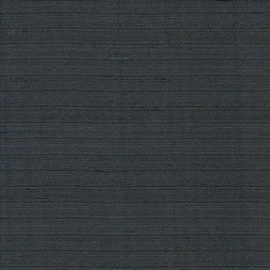 Burke Obsidian by Kasmir Fabric