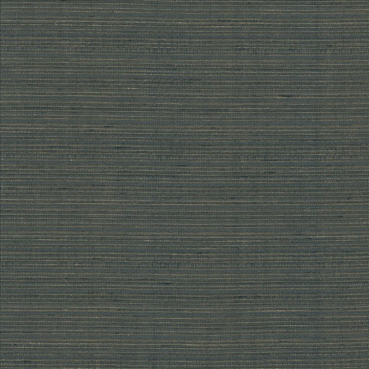 Burke Pewter by Kasmir Fabric 5163 100% Polyester
 INDIA Not Tested </p><p>Repeat: Horizontal: N/A and Vertical: N/A 54 - Fabric Carolina -