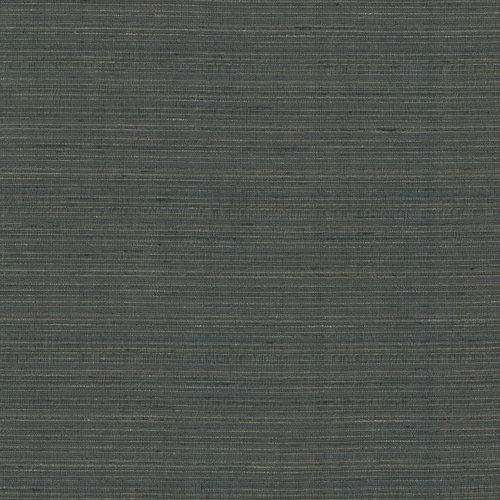 Burke Pewter by Kasmir Fabric 5163 100% Polyester
 INDIA </p><p>Repeat: Horizontal: N/A and Vertical: N/A 54 - Fabric Carolina -