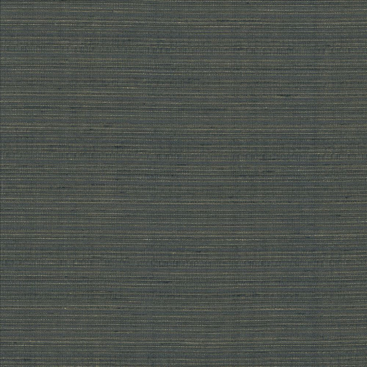 Burke Pewter by Kasmir Fabric 5163 100% Polyester
 INDIA </p><p>Repeat: Horizontal: N/A and Vertical: N/A 54 - Fabric Carolina -