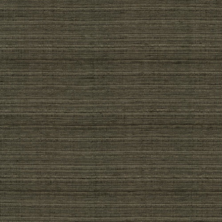Burke Sable by Kasmir Fabric 5163 100% Polyester
 INDIA </p><p>Repeat: Horizontal: N/A and Vertical: N/A 54 - Fabric Carolina -