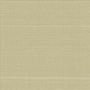 Burke Sand Dollar by Kasmir Fabric