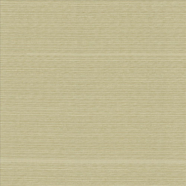 Burke Sand Dollar by Kasmir Fabric 5163 100% Polyester
 INDIA Not Tested </p><p>Repeat: Horizontal: N/A and Vertical: N/A 54 - Fabric Carolina -