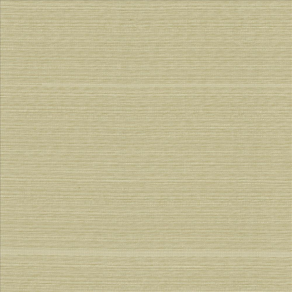 Burke Sand Dollar by Kasmir Fabric 5163 100% Polyester
 INDIA </p><p>Repeat: Horizontal: N/A and Vertical: N/A 54 - Fabric Carolina -