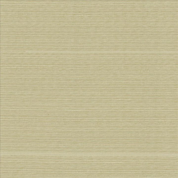 Burke Sand Dollar by Kasmir Fabric 5163 100% Polyester
 INDIA </p><p>Repeat: Horizontal: N/A and Vertical: N/A 54 - Fabric Carolina -