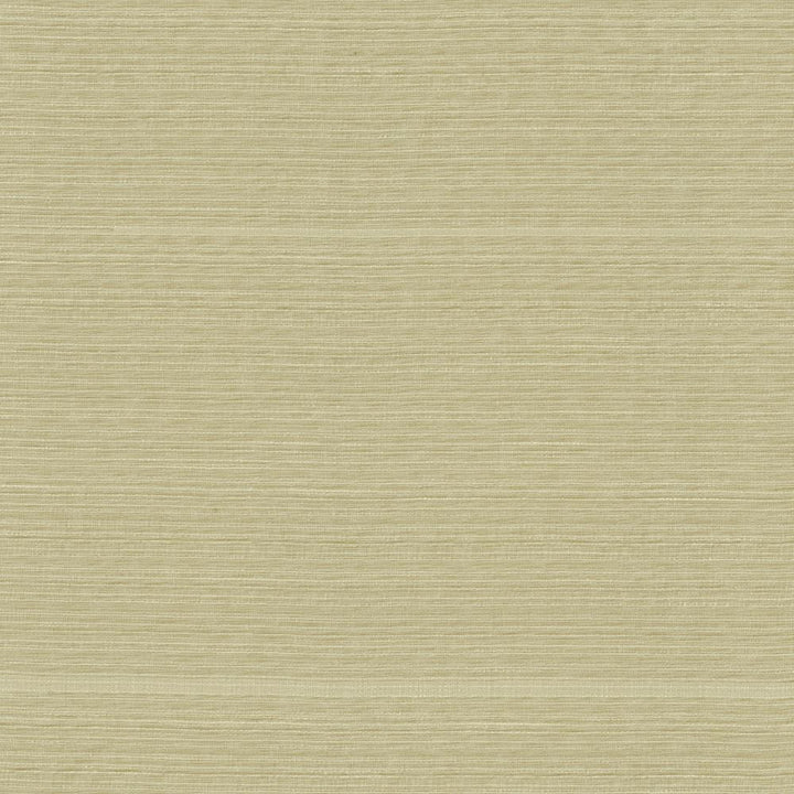 Burke Sand Dollar by Kasmir Fabric 5163 100% Polyester
 INDIA </p><p>Repeat: Horizontal: N/A and Vertical: N/A 54 - Fabric Carolina -