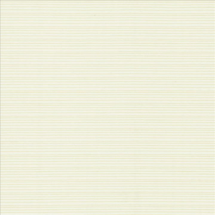 Burke Sea Salt by Kasmir Fabric 5163 100% Polyester
 INDIA Not Tested Horizontal: N/A and Vertical: N/A 54 - Fabric Carolina -