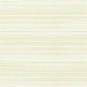 Burke Sea Salt by Kasmir Fabric