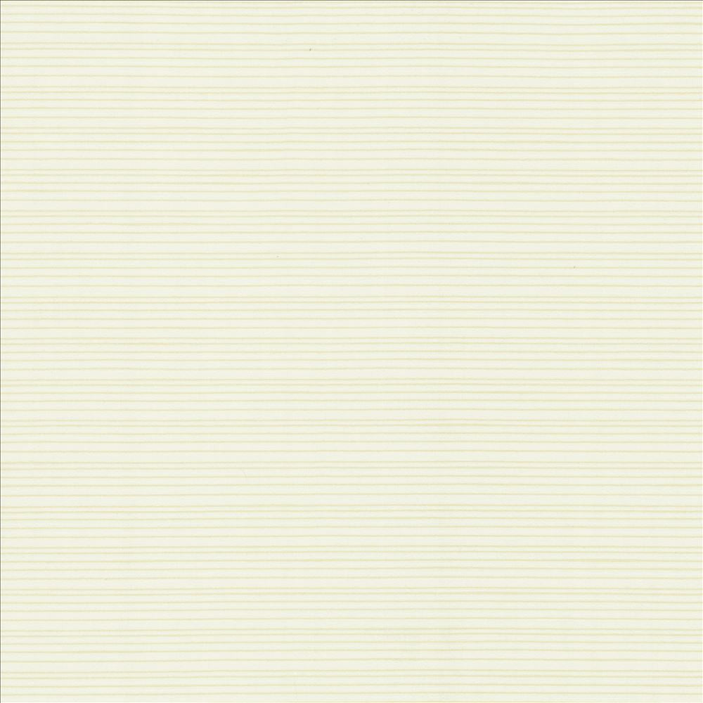 Burke Sea Salt by Kasmir Fabric 5163 100% Polyester
 INDIA Not Tested </p><p>Repeat: Horizontal: N/A and Vertical: N/A 54 - Fabric Carolina -