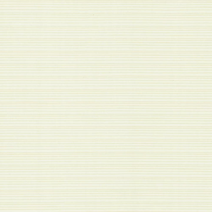 Burke Sea Salt by Kasmir Fabric 5163 100% Polyester
 INDIA </p><p>Repeat: Horizontal: N/A and Vertical: N/A 54 - Fabric Carolina -