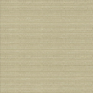 Burke Silt by Kasmir Fabric