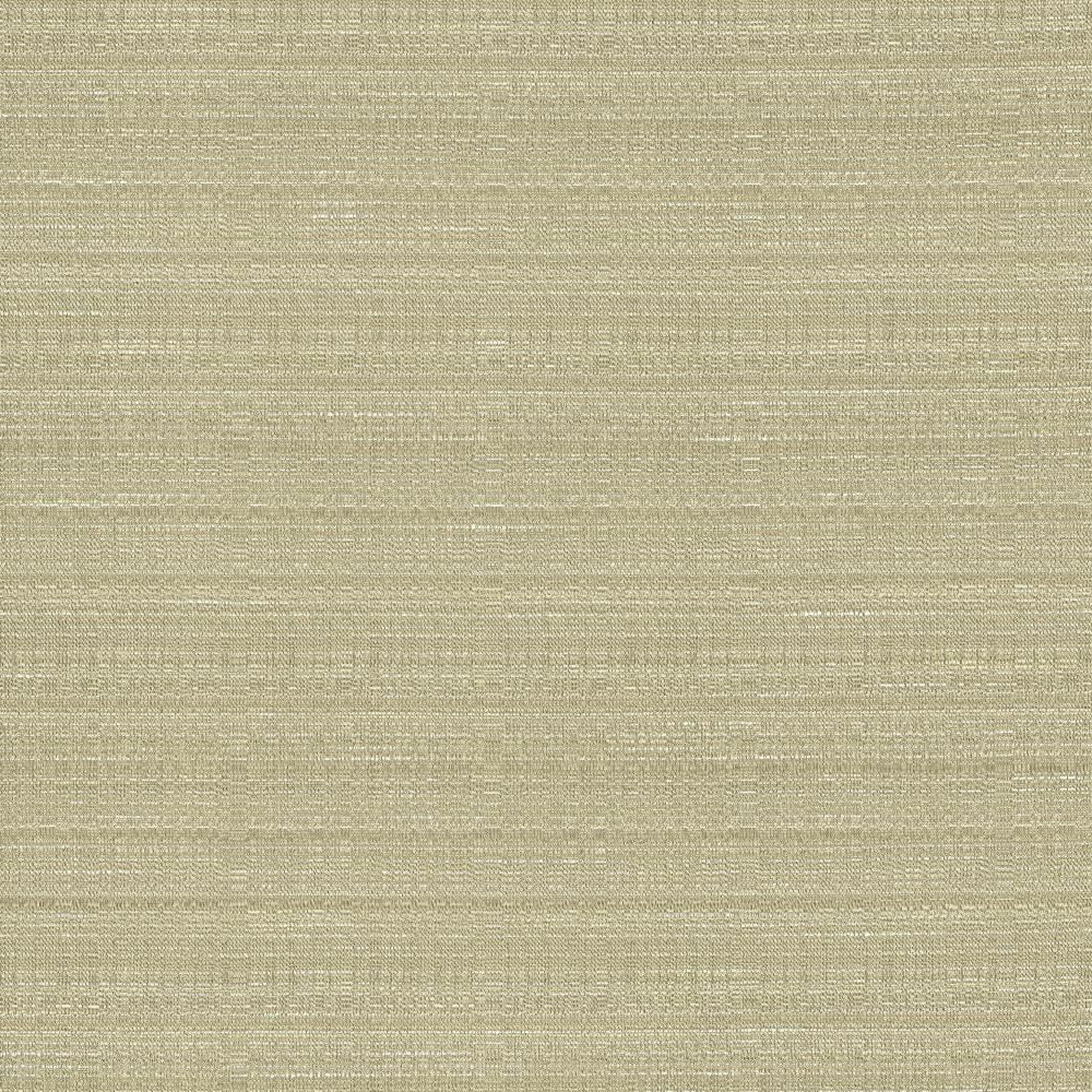 Burke Silt by Kasmir Fabric 5163 100% Polyester
 INDIA </p><p>Repeat: Horizontal: N/A and Vertical: N/A 54 - Fabric Carolina -